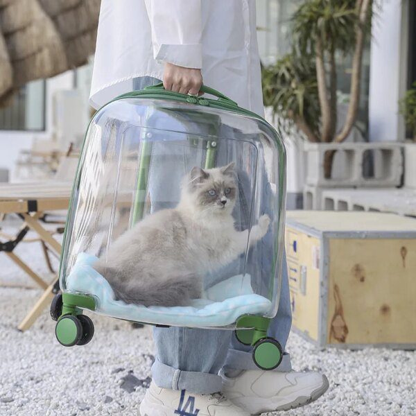 Valise à Roulettes Transparente pour Chat & Chien – Sac à Dos Portable