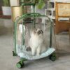 Valise à Roulettes Transparente pour Chat & Chien – Sac à Dos Portable