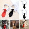 Nœud de Smoking Officiel pour Animal de Compagnie – Collier Noir