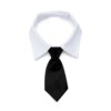 Nœud de Smoking Officiel pour Animal de Compagnie – Collier Noir