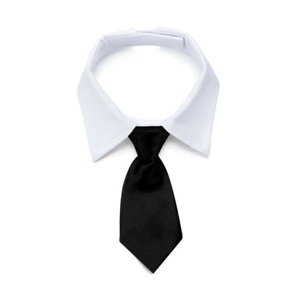 Nœud de Smoking Officiel pour Animal de Compagnie – Collier Noir
