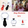 Nœud de Smoking Officiel pour Animal de Compagnie – Collier Noir
