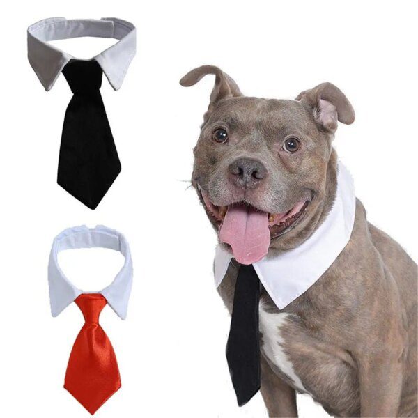 Nœud de Smoking Officiel pour Animal de Compagnie – Collier Noir