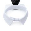 Nœud Papillon Réglable en Coton pour Chien & Chat – Accessoire de Toilettage