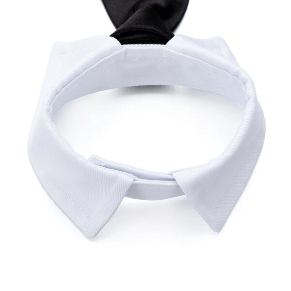 Nœud Papillon Réglable en Coton pour Chien & Chat – Accessoire de Toilettage