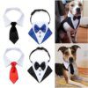Nœud Papillon Réglable en Coton pour Chien & Chat – Accessoire de Toilettage