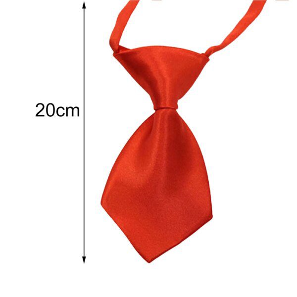 Cravate Réglable Transer pour Chien & Chat – Accessoire de Toilettage