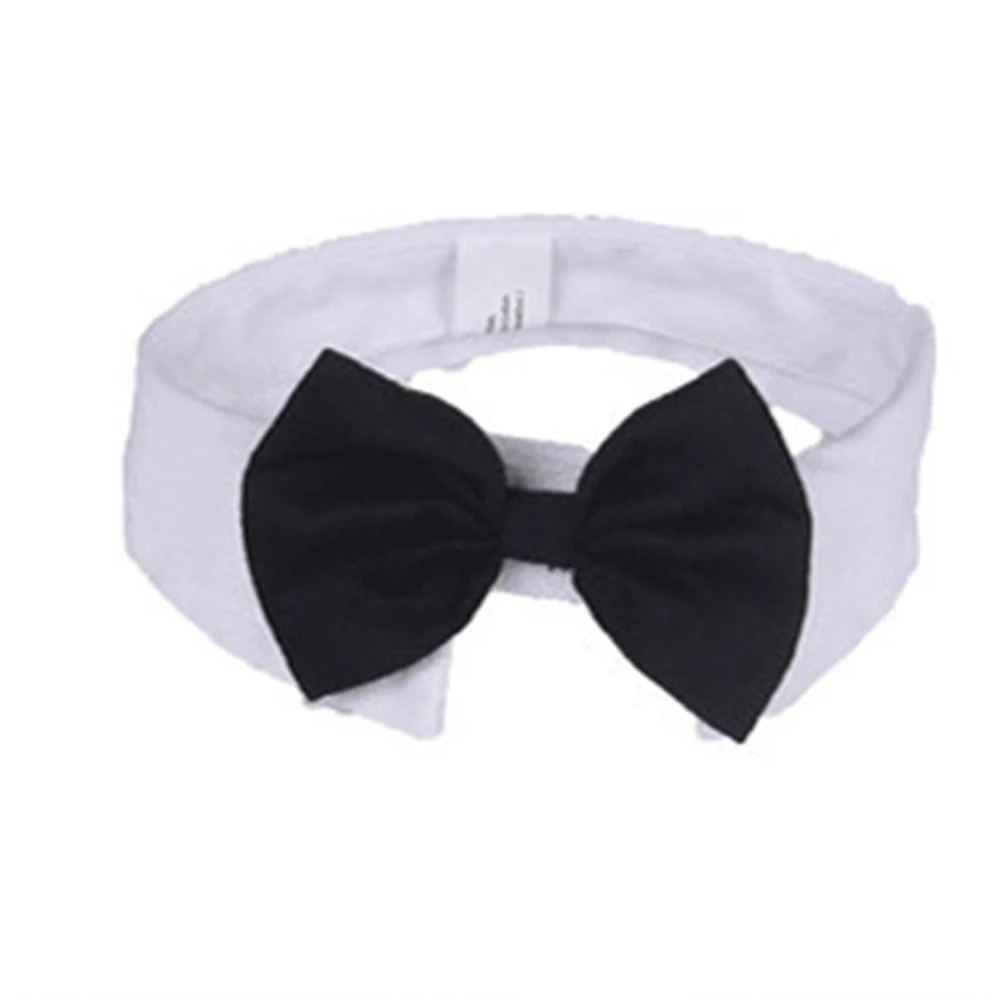bow tie