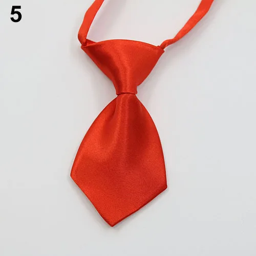Color 5