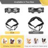 126712-e33687.jpg Lunettes de Soleil de Protection UV pour Chien – Spéciales Petites