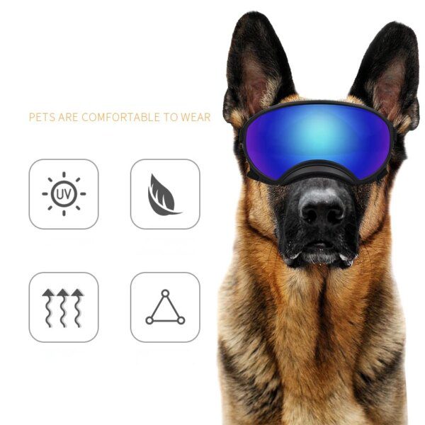 Lunettes de Soleil Anti-Buée pour Chien – Protection UV400, Outdoor, Sport