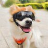 Lunettes de Protection UV pour Chien & Chat – Outdoor, Cool