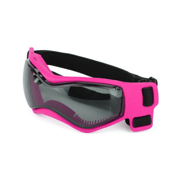 Lunettes de Protection UV pour Chien & Chat – Outdoor, Cool