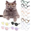 Lunettes Mignonnes en Plastique Transparent pour Animaux