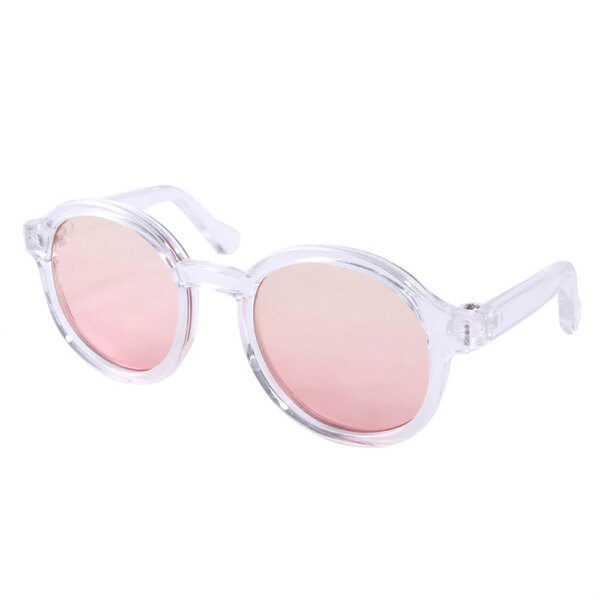 Lunettes Mignonnes en Plastique Transparent pour Animaux