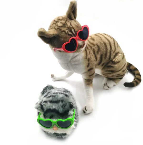 Lunettes Cœur & Pinces à Cheveux pour Animaux – Lot de 10 Pièces