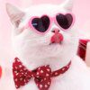 Lunettes Cœur & Pinces à Cheveux pour Animaux – Lot de 10 Pièces