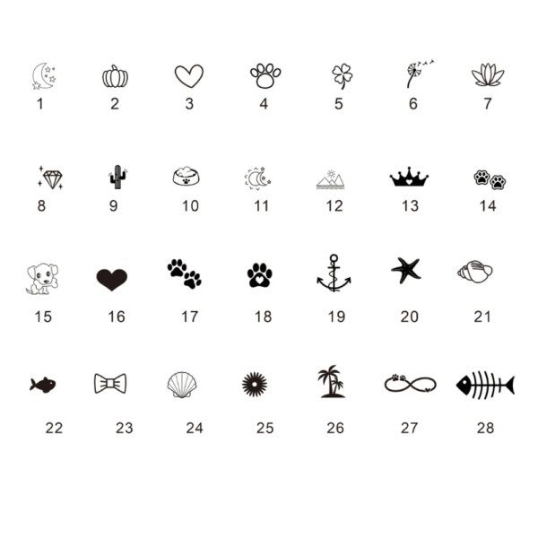 collier chien personnalisé