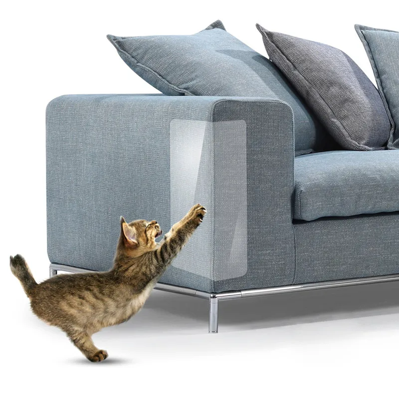 griffoir-chat