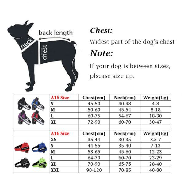 harnais pour chien réfléchissant en Nylon🐕‍🦺