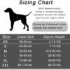 22232-008c19.jpg Dogysafe personnalisé harnais chien - accessoire de promenade