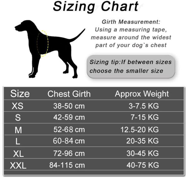 22232-008c19.jpg Dogysafe personnalisé harnais chien - accessoire de promenade