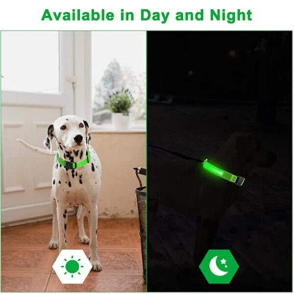Collier Lumineux LED pour Chien – Sécurité Totale Même la Nuit