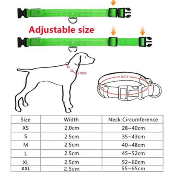 Collier Lumineux LED pour Chien – Sécurité Totale Même la Nuit