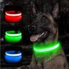 Collier Lumineux LED pour Chien – Sécurité Totale Même la Nuit