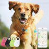 collier gps chien 🐾Traceur GPS intelligent pour animaux de compagnie