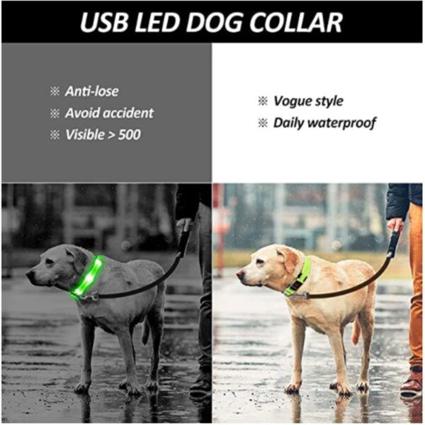 Collier Lumineux LED pour Chien – Sécurité Totale✨