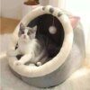 Niche-Chat-Confortable-et-Ronde