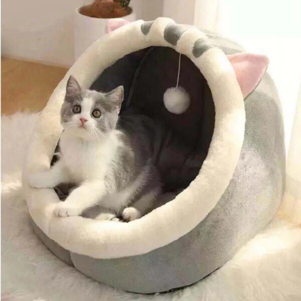 Niche-Chat-Confortable-et-Ronde