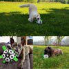 Ballon de Football Interactif pour Chien – Jeu Extérieur, Mastication