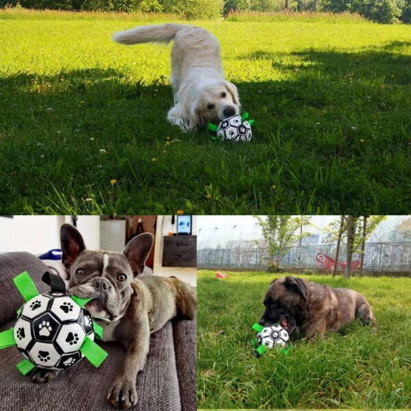Ballon de Football Interactif pour Chien – Jeu Extérieur, Mastication