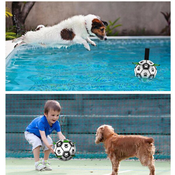 Ballon de Football Interactif pour Chien – Jeu Extérieur, Mastication
