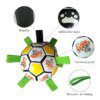 Ballon de Football Interactif pour Chien – Jeu Extérieur, Mastication
