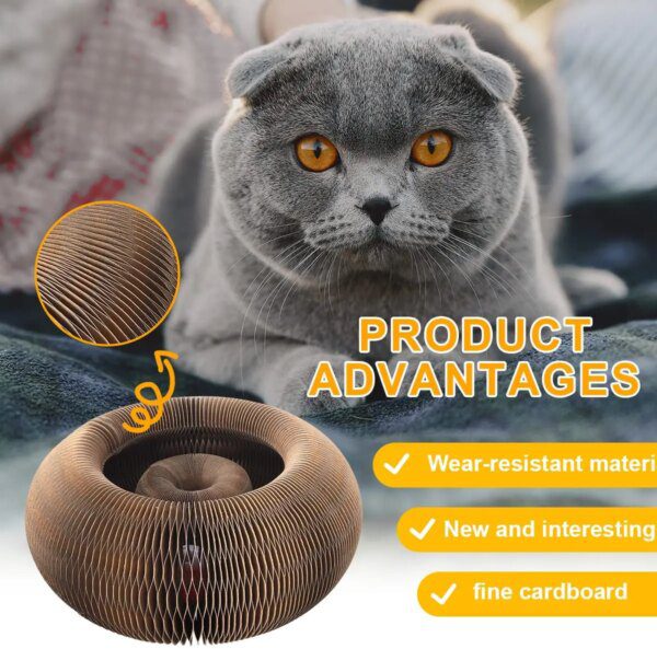 LOLY™ – Planche à Gratter Magique Déformable pour Chat, Jeu Interactif