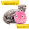 Balle Interactive en Peluche pour Chat – Sons Réalistes 🧶