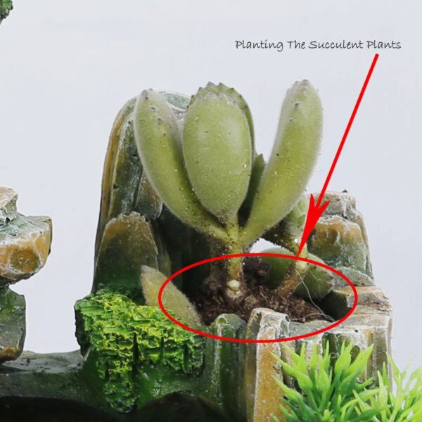 Décoration de bureau