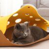 Tunel-Cat™ – Jouet Interactif 4-en-1 pour Chat | Tunnel