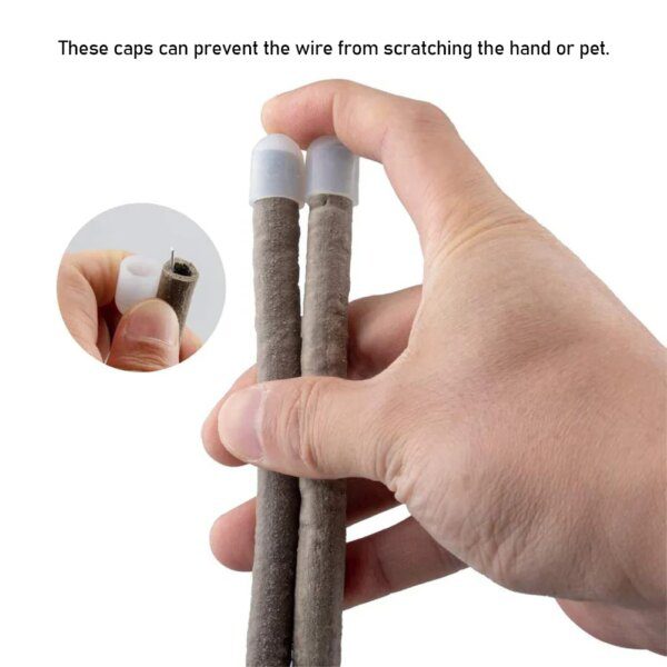 Plantes de la Jungle, Terrarium artificiel