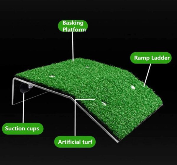 decoration pour reptile