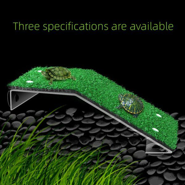 decoration pour reptile