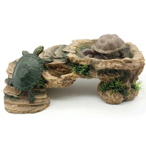 roche aquarium pour tortues 🐟