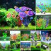 herbe-aquarium