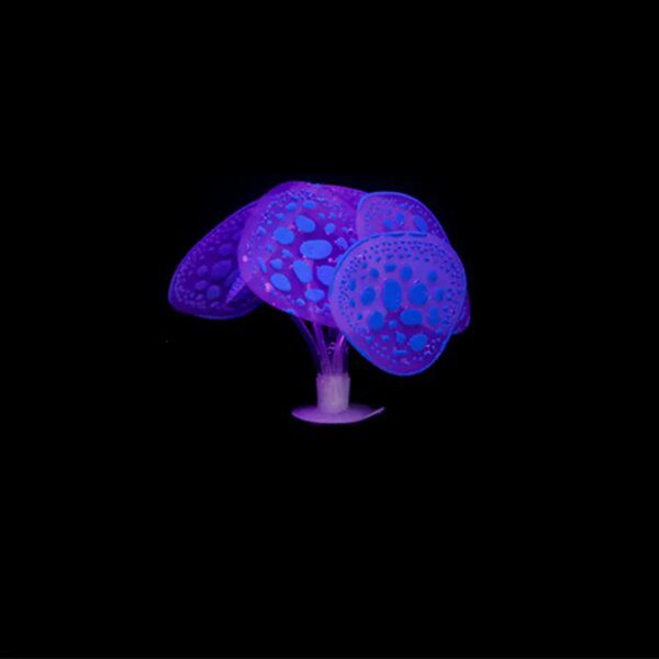 decoration aquarium en Silicone 🐟