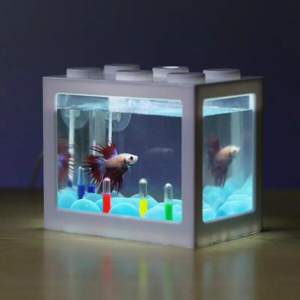 Mini Aquarium Betta USB avec lumière LED 🐟