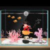 Ornements decor fond aquarium resine 🐟