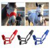 collier cheval rembourré collier de tête équitation Stable
